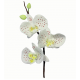 PME - Emporte-pièce orchidée, 3 pièces