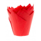 Caissettes tulipe rouge, 36 pièces