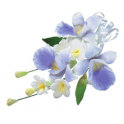 Culpitt - Bouquet orchidée, env. 12 cm
