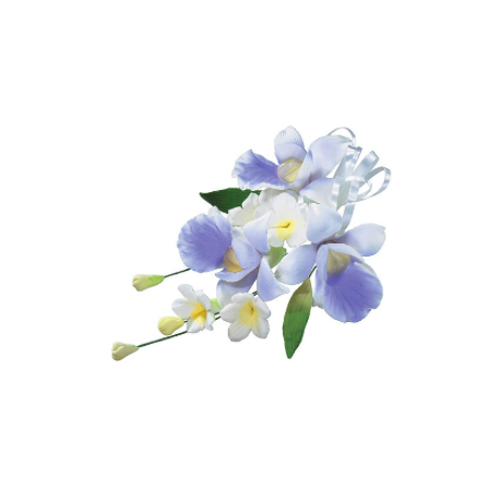 Culpitt - Zweig Orchidee, zirka 12 cm