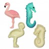 JEM Pop It® - Vie marine, 2 pièces