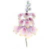 Culpitt - Foxglove spray, approx. 12 cm
