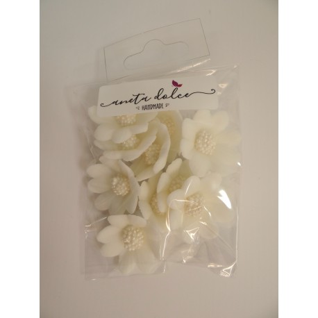 Aneta Dolce - Zuckerblumen Gänseblümchen weiss, 3 cm, 10 pièces