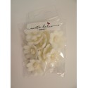 Aneta Dolce -  Fleur de sucre Pâquerettes blanc, 3 cm, 10 pièces
