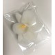 Aneta Dolce -  Fleur de sucre orchidée blanche, 6 cm, 5 pièces
