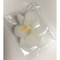 Aneta Dolce - Sugar flower white Orchid, 6 cm, 5 pièces