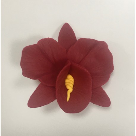 Aneta Dolce -  Fleur de sucre orchidée rouge bordeau, 6 cm, 5 pièces