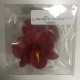 Aneta Dolce -  Fleur de sucre orchidée rouge bordeau, 6 cm, 5 pièces