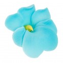 Aneta Dolce -  Fleur de sucre miltonia bleu clair, 5 cm, 5 pièces