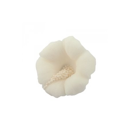 Aneta Dolce - Sugar flower Hibiscus white, 5 cm, 5 pièces