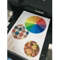 Edible custom print, on fondant sheet A4 (without E171)