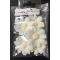 Aneta Dolce - Sugar flower Adonis white, 4 cm, 5 pièces