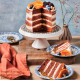 FunCakes - Mélange pour Sponge Cake chocolat (Génoise), 4 kg