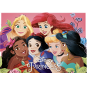 Dekora - Tortenaufleger, Prinzessinnen Disney,  14,8X21cm