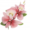 Culpitt - Bouquet orchidée rose, env. 15cm
