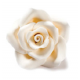 Decora Décoration en sucre grandes roses blanches, 6 pièces, env. 4 cm