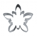Emporte-pièce - fleur edelweiss, 4.5 cm