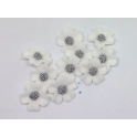 Aneta Dolce -  Fleur de sucre Myosotis, blanc, 3 cm, 10 pièces