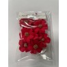 Aneta Dolce - Zuckerblumen Vergissmeinnich, rot/gold, 3 cm, 10 pièces