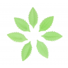 FunCakes - Green edible paper leaves, 50 pieces