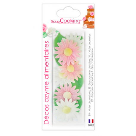 Scrapcooking Caissettes Tropical +/- 36 Black Friday New Prices Maison Et Jardin