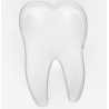 Cookie cutter tooth, 6 cm