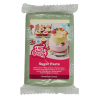 Funcakes pâte à sucre vert botanique, 250 g