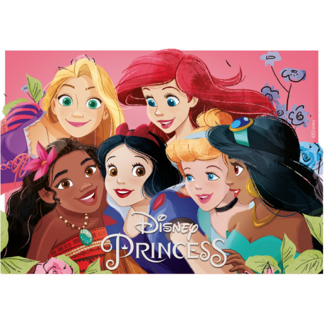 Dekora - Disque comestible, Princesses Disney, rectangle A5