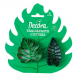 Decora - Emporte-pièces feuilles tropicales, 2 pièces