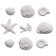 Decora Décorations en sucre, Coquillages, 9 pièces