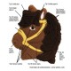 Wilton Backform Pony, 30 x 27 cm
