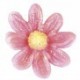 Silikomart - Blüten Form und Ausstechform Gänseblümchen