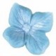 Silikomart - Blüten Form und Ausstechform Hortensie