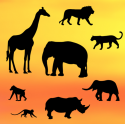 Patchwork silhouette safari,  set de 8 pièces
